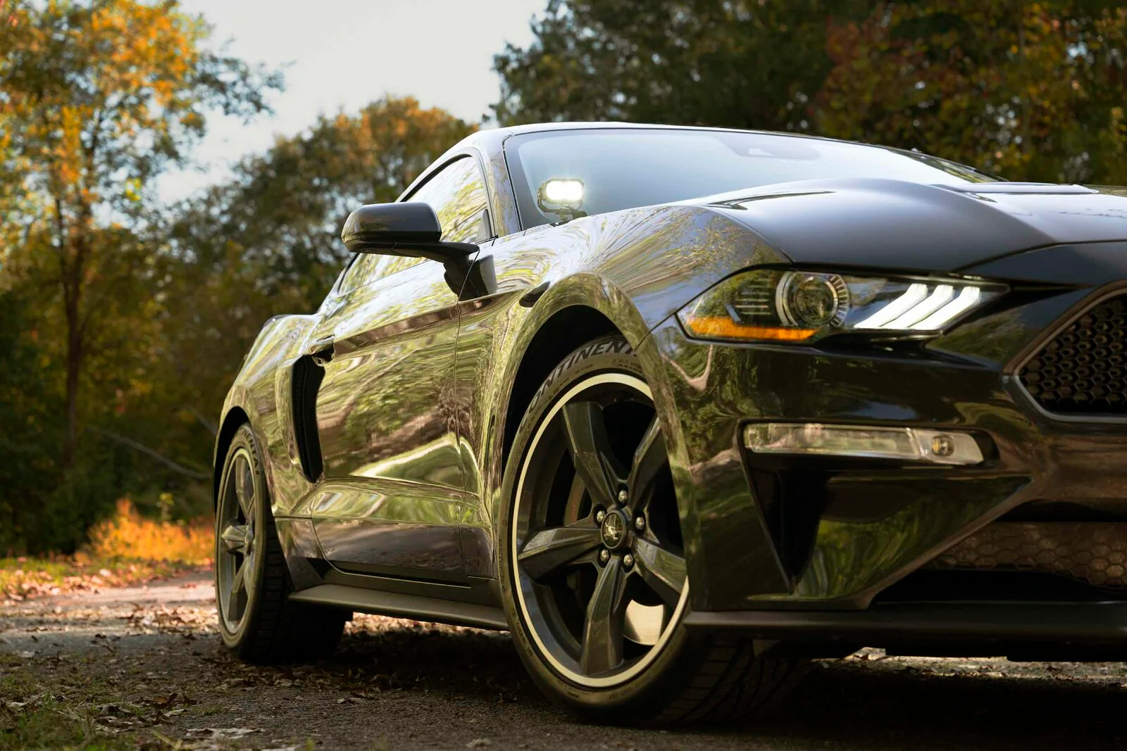 Morimoto 2Banger Drift Light Kit: 18-23 Ford Mustang (NCS Yellow Flood Beam) - Image 6