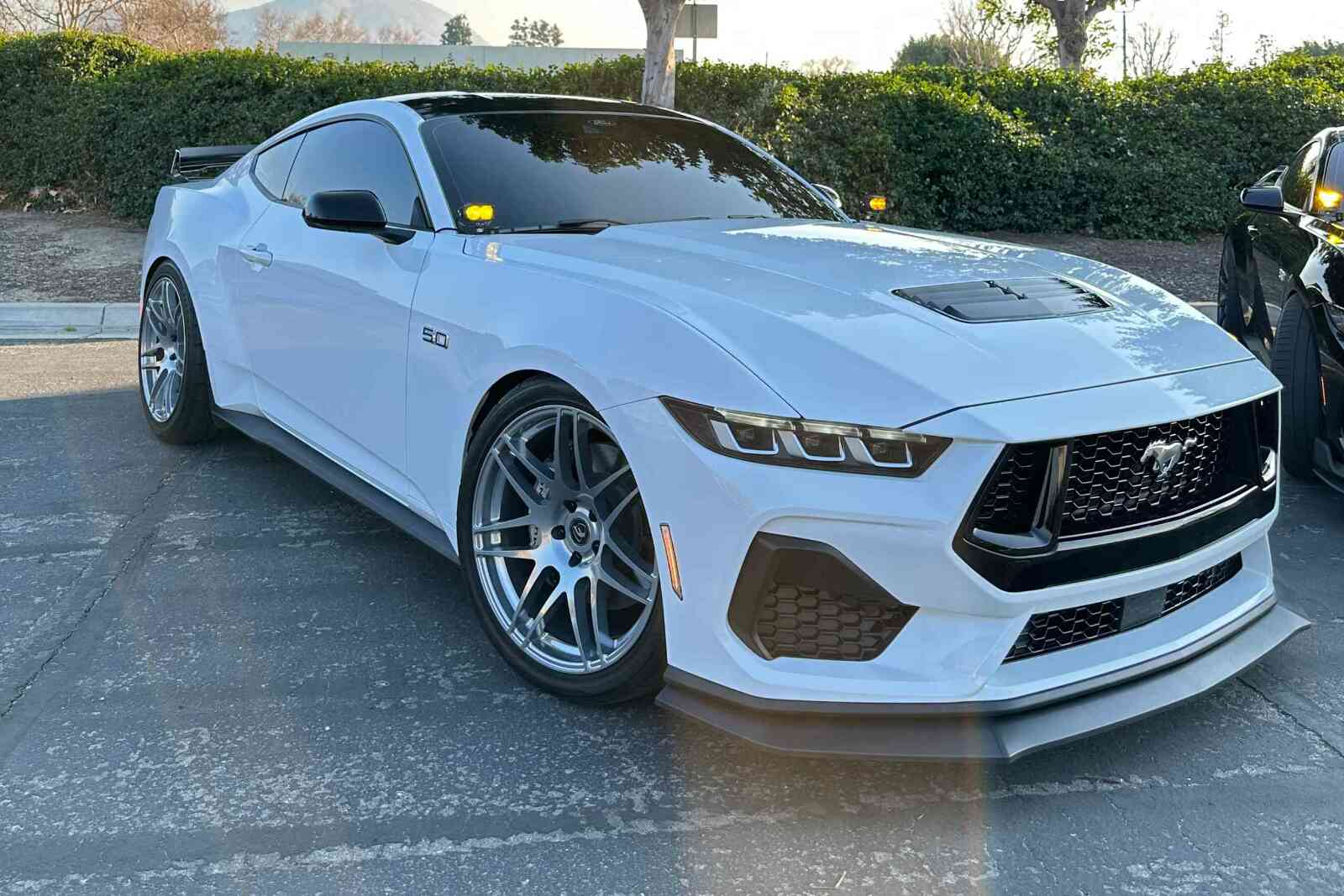 Morimoto 2Banger Drift Light Kit: 2024+ Ford Mustang (NCS White SAE Wide Beam) - Image 2