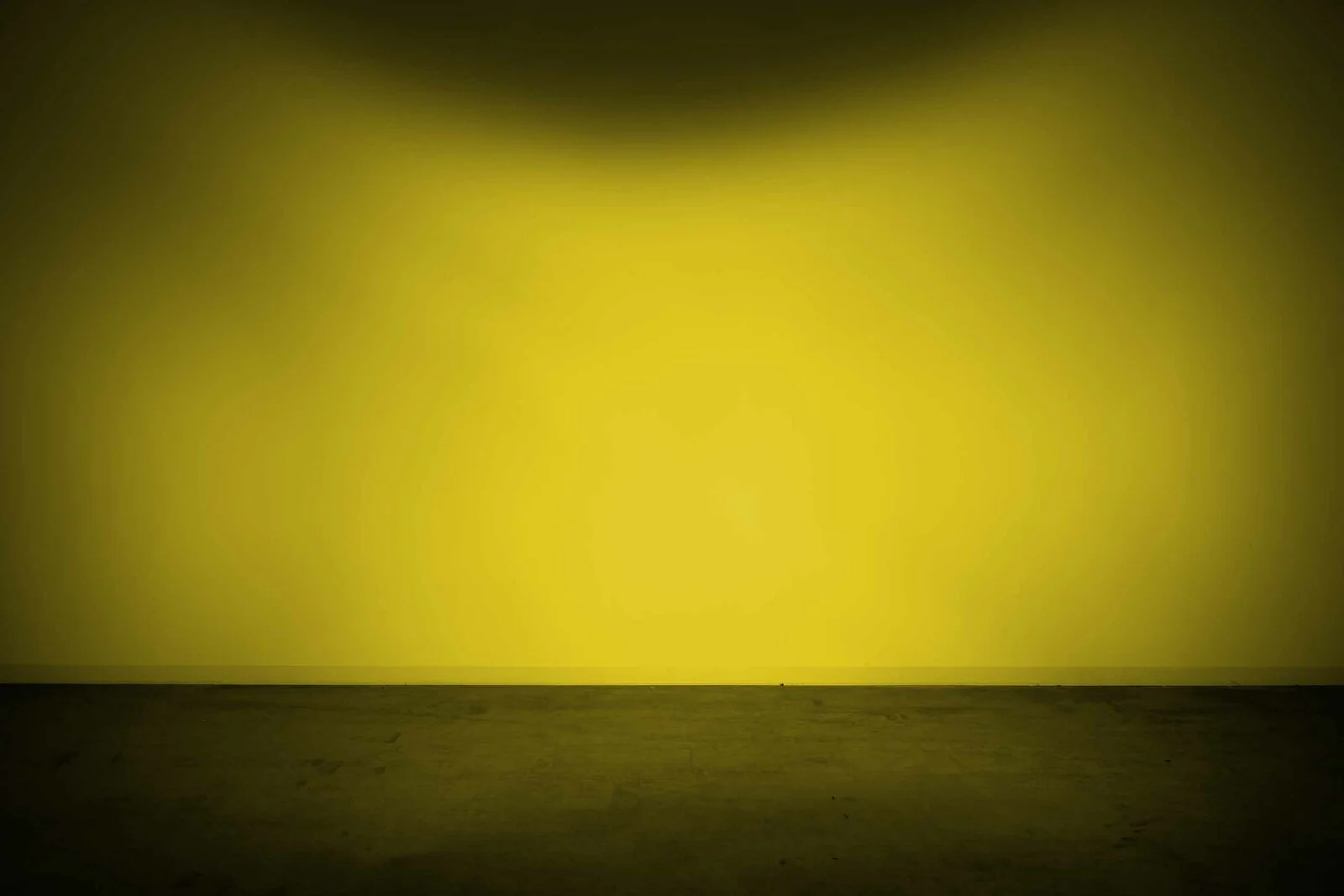 Morimoto Lens Only 4Banger (Yellow, Flood, Each)