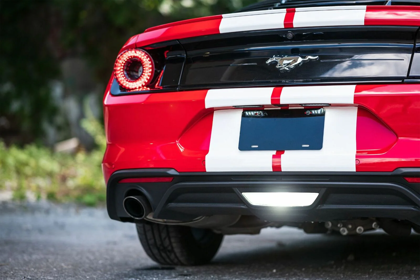 Morimoto XB LED License Plate Lights Ford Mustang (15-20, Set) - Image 4